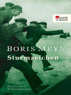 cover image of Sturmzeichen